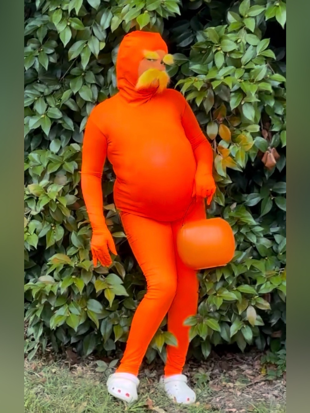 Unisex Adult Medium The Lorax Halloween Costume 7 Piece